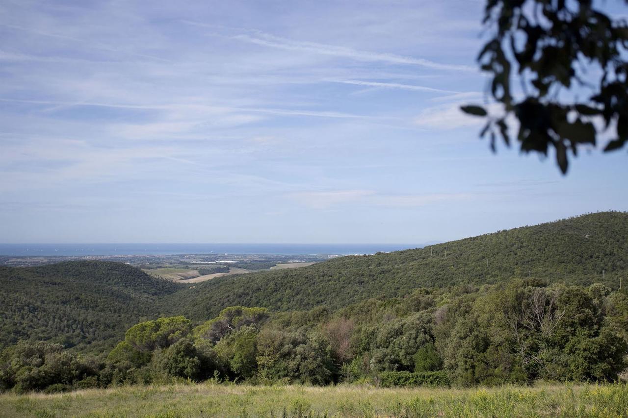 La Lepraia Estate Villa Castellina Marittima Buitenkant foto